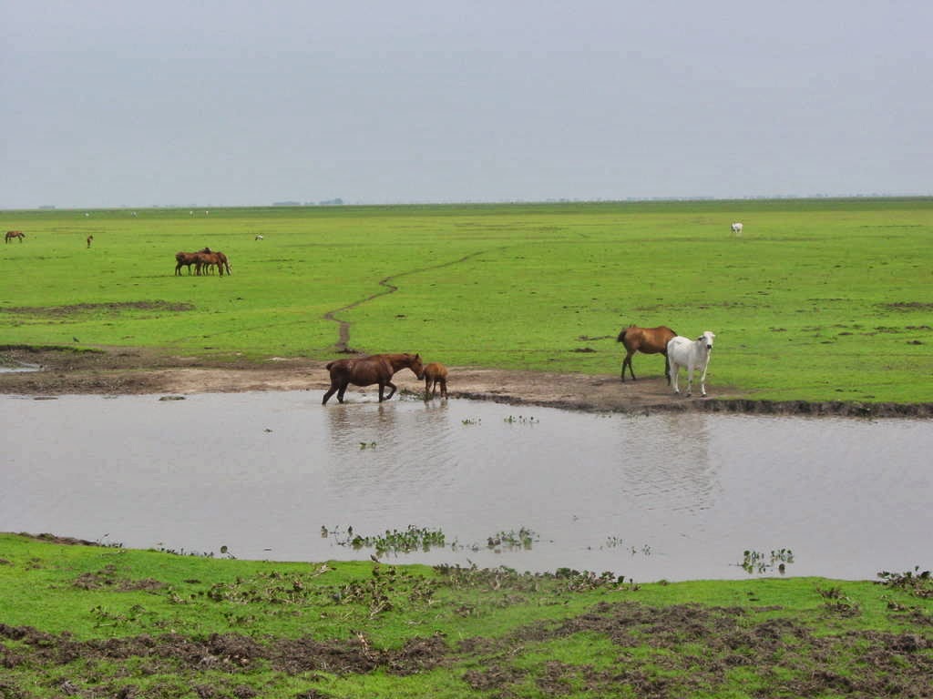 Directorio del Ministerio Público del Estado Apure