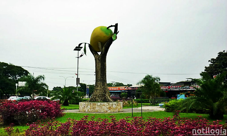 Estado Cojedes