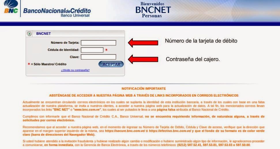 bncnet