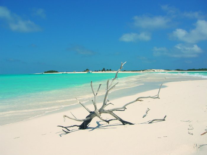 los roques