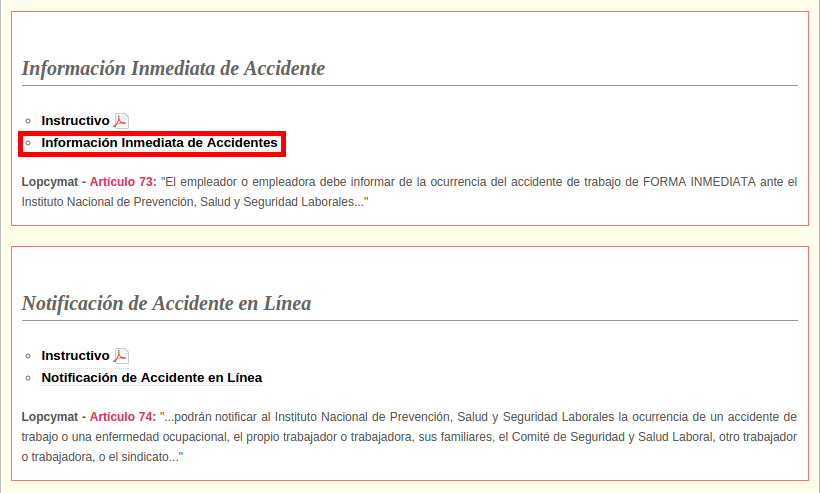 Registro Inmediato de Accidente