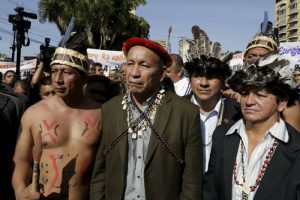 Diputados de Amazonas - Notilogia