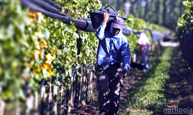 Feriados No Laborables Mayo