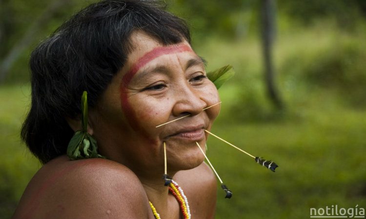etnias_indigenas_de_venezuela-1
