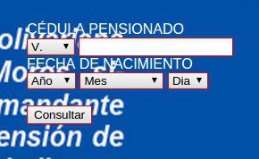 Ingresar Datos de Pensionado