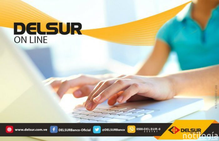 DELSUR Online