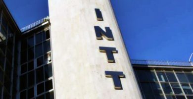 INTT permitirá actualizar licencias de conducir a través de Internet