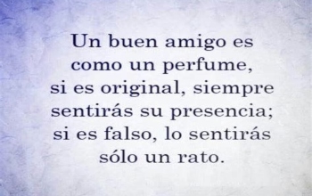 🔮 50 Frases de la Vida para reflexionar este 2026 🌈