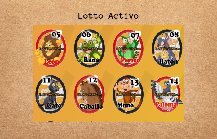 Como Ganar y Jugar Lotto Activo