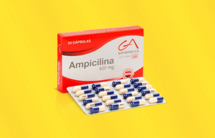 Ampicilina Para Qué Sirve