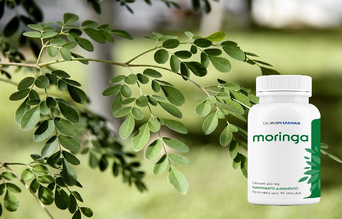 Para Qué Sirve la Moringa